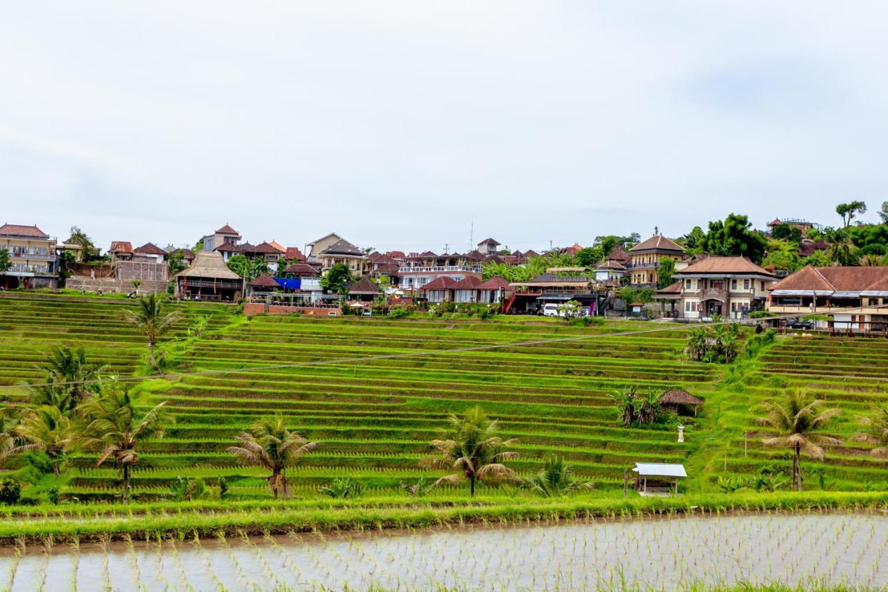Bhuana Agung Villa And Restaurant Jatiluwih Exterior photo