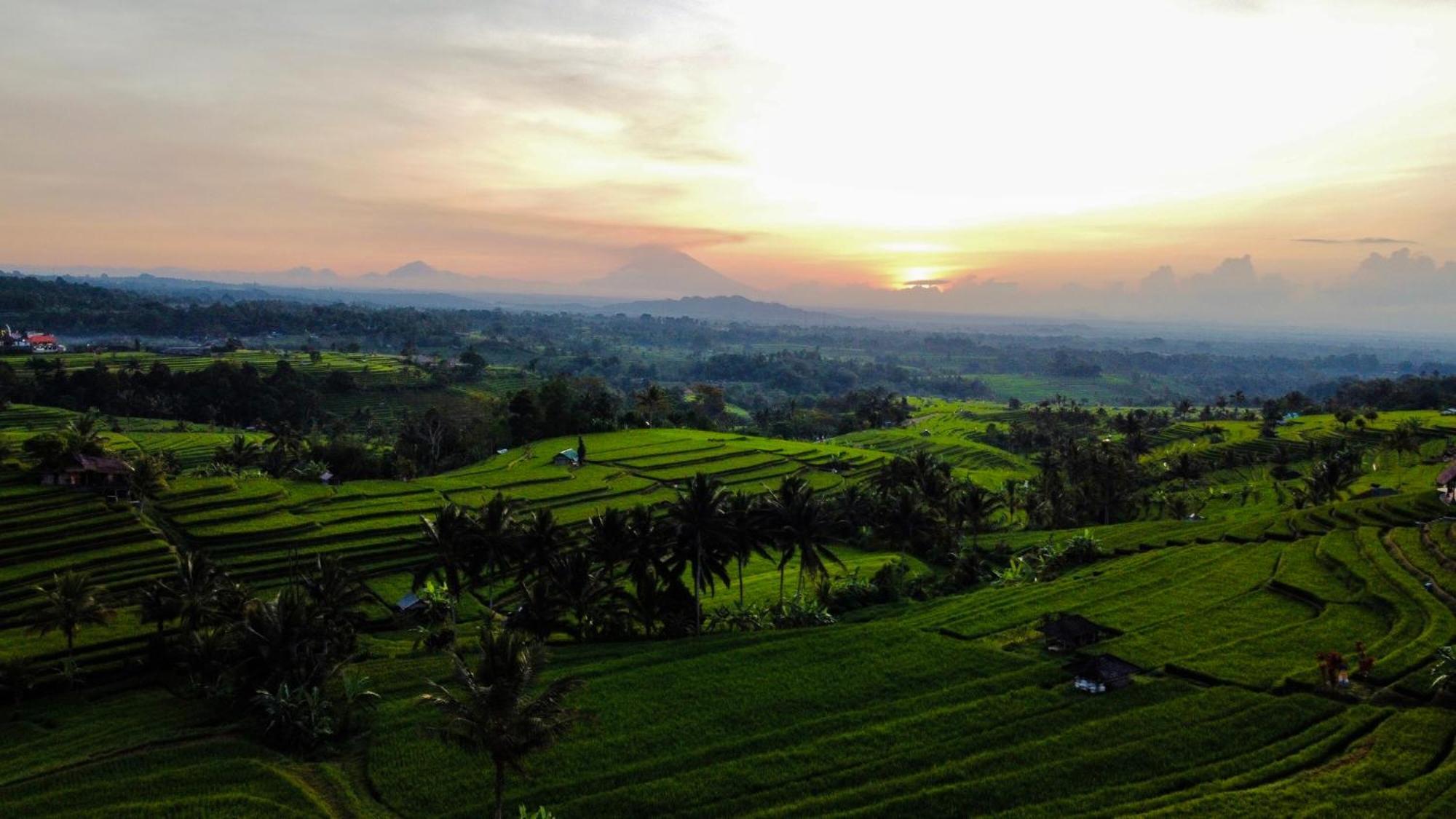 Bhuana Agung Villa And Restaurant Jatiluwih Exterior photo